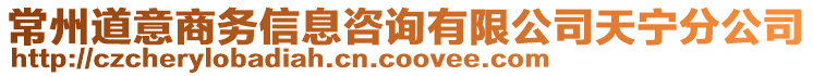 常州道意商務(wù)信息咨詢有限公司天寧分公司