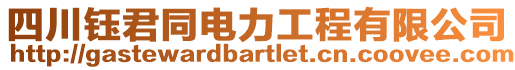 四川鈺君同電力工程有限公司