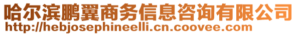 哈爾濱鵬翼商務信息咨詢有限公司