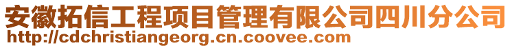 安徽拓信工程項目管理有限公司四川分公司