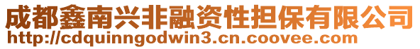 成都鑫南興非融資性擔(dān)保有限公司