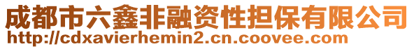 成都市六鑫非融資性擔(dān)保有限公司