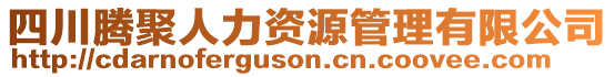 四川騰聚人力資源管理有限公司