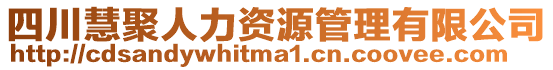 四川慧聚人力資源管理有限公司