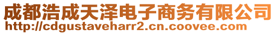 成都浩成天澤電子商務(wù)有限公司