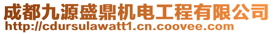 成都九源盛鼎機(jī)電工程有限公司