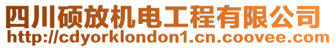 四川碩放機(jī)電工程有限公司