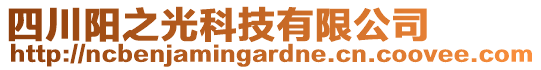 四川陽之光科技有限公司