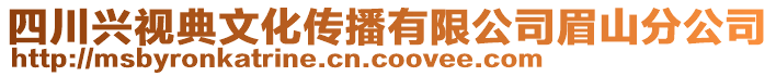 四川興視典文化傳播有限公司眉山分公司