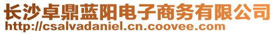 長沙卓鼎藍(lán)陽電子商務(wù)有限公司