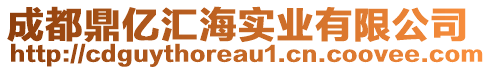 成都鼎億匯海實(shí)業(yè)有限公司