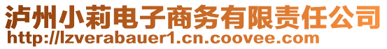 瀘州小莉電子商務(wù)有限責(zé)任公司