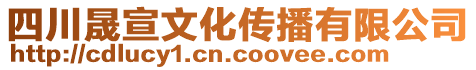 四川晟宣文化傳播有限公司