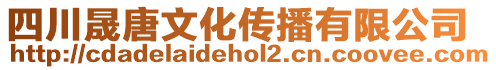 四川晟唐文化傳播有限公司