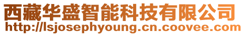 西藏華盛智能科技有限公司