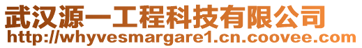 武漢源一工程科技有限公司