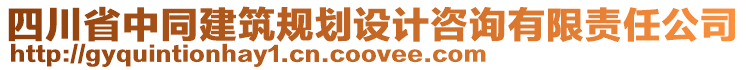 四川省中同建筑規(guī)劃設(shè)計(jì)咨詢有限責(zé)任公司