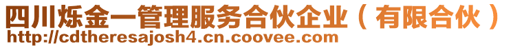 四川爍金一管理服務合伙企業(有限合伙)
