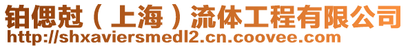 鉑偲?。ㄉ虾＃┝黧w工程有限公司