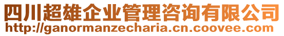 四川超雄企業(yè)管理咨詢有限公司