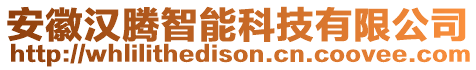 安徽漢騰智能科技有限公司