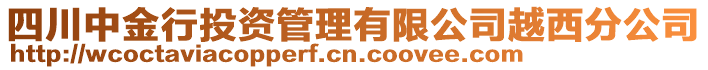 四川中金行投資管理有限公司越西分公司