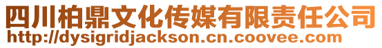 四川柏鼎文化傳媒有限責任公司