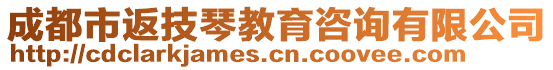 成都市返技琴教育咨詢有限公司