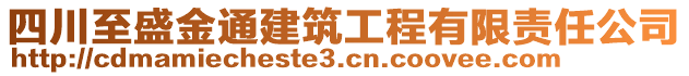 四川至盛金通建筑工程有限責(zé)任公司