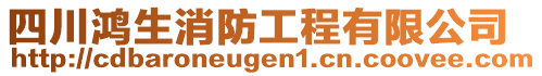 四川鴻生消防工程有限公司