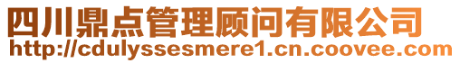 四川鼎點管理顧問有限公司