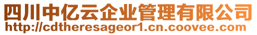 四川中億云企業(yè)管理有限公司