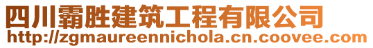 四川霸勝建筑工程有限公司