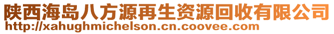 陜西海島八方源再生資源回收有限公司