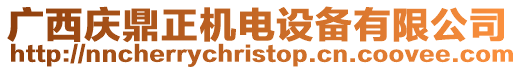 廣西慶鼎正機電設備有限公司