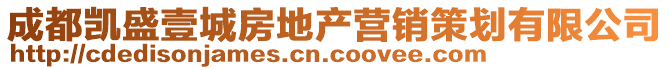 成都凱盛壹城房地產(chǎn)營銷策劃有限公司