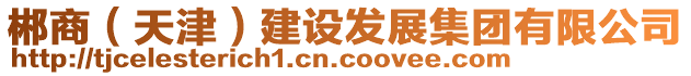 郴商（天津）建設(shè)發(fā)展集團(tuán)有限公司