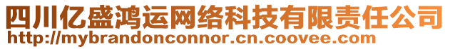 四川億盛鴻運(yùn)網(wǎng)絡(luò)科技有限責(zé)任公司