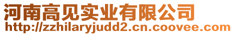 河南高见实业有限公司