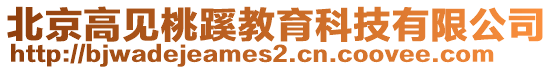 北京高见桃蹊教育科技有限公司