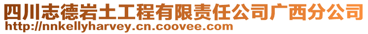 四川志德巖土工程有限責任公司廣西分公司