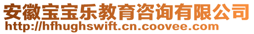 安徽寶寶樂教育咨詢有限公司