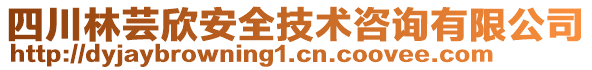 四川林蕓欣安全技術咨詢有限公司