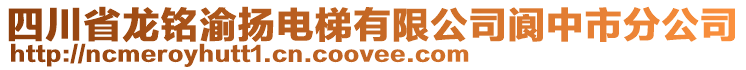 四川省龍銘渝揚(yáng)電梯有限公司閬中市分公司