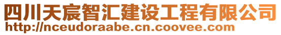 四川天宸智匯建設(shè)工程有限公司