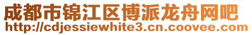 成都市錦江區博派龍舟網吧
