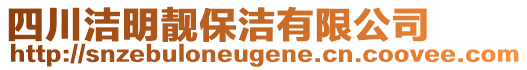 四川潔明靚保潔有限公司