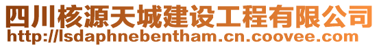 四川核源天城建設工程有限公司