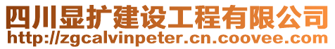 四川顯擴建設工程有限公司