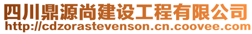 四川鼎源尚建设工程有限公司